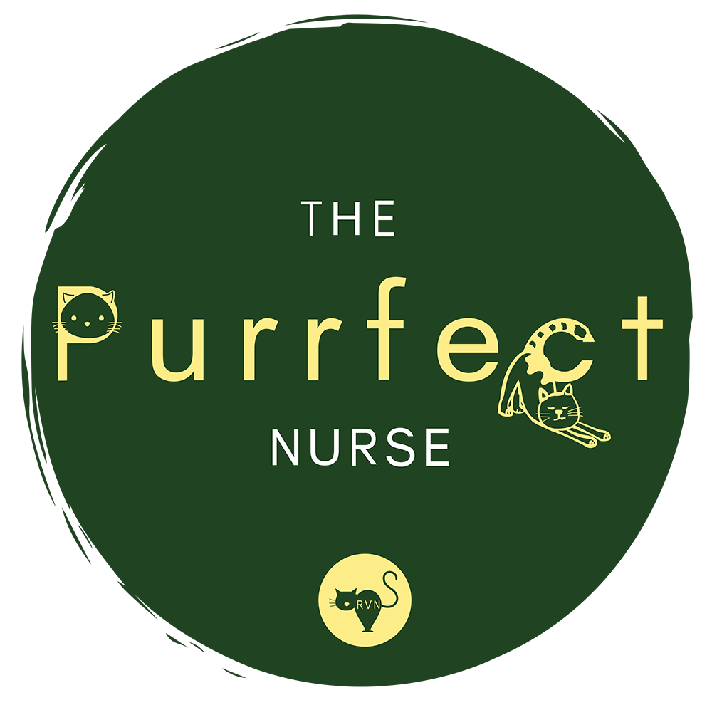 The Purrfect Nurse