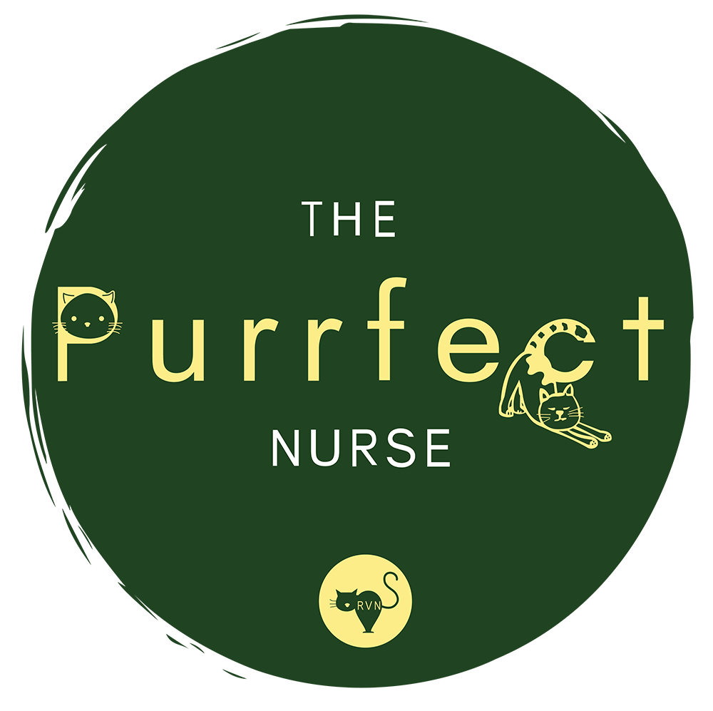 The Purrfect Nurse